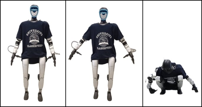 Three proposed research humanoid postures: standing, arms extended, and crouched.